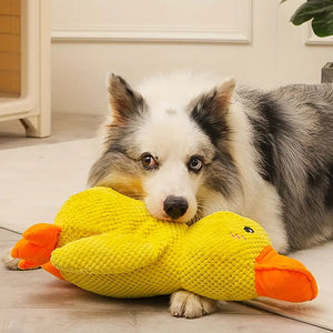 Interactive Duck Squeaky Toy | FREE TODAY