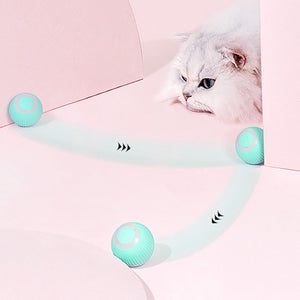 FREE TODAY | Pet Electric Automatic Rolling Interactive Ball Toy