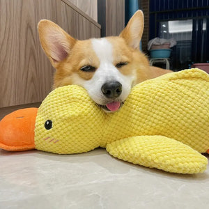 Interactive Duck Squeaky Toy | FREE TODAY